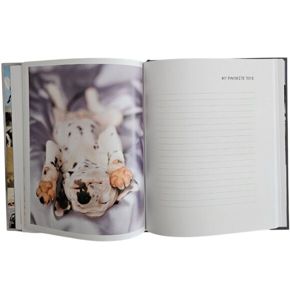 My Dog Record Book By Rachael Hale | Hardcover | NWT | Gray Red - Picture 9 of 12